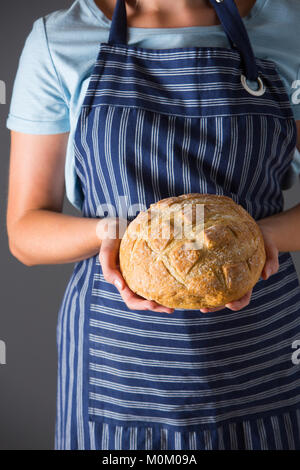 Donna che indossa il grembiule azienda appena sfornato pagnotta di pane Foto Stock