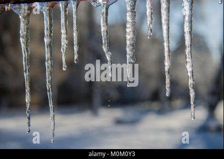 Fusione di ghiaccioli e gocce di acqua. Giorno d'inverno. Il bel tempo. Lo scongelamento. Foto Stock