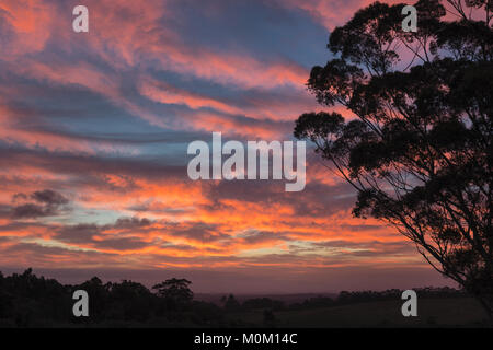 Un glorioso tramonto illumina il paesaggio nel corso McLeod Road, vicino a Danimarca, Australia occidentale Foto Stock