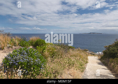 Il paesaggio costiero intorno le soffiature, Albany, Australia occidentale Foto Stock