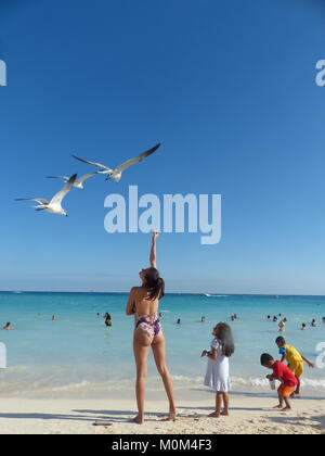 Donna che mantiene una tortilla chip nell'aria di alimentazione Golfo Gabbiani sulla spiaggia Caraibica Foto Stock