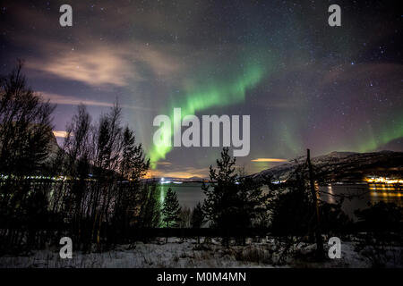 Northern Lights Dancing vicino a Narvik, Norvegia Foto Stock