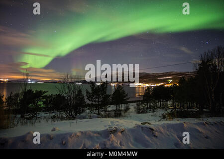 Aurora vicino a Narvik, Norvegia Foto Stock