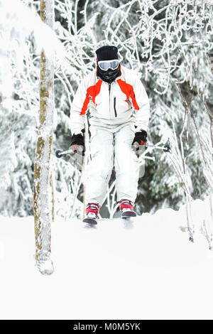 Sciatore Freeride saltando su pendio nevoso nel bosco di abeti Foto Stock