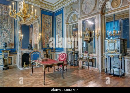 Francia,Parigi,zona elencata come patrimonio mondiale dall UNESCO,museo Louvre,arti decorative dipartimento,Gilbert e Rose Marie Chagoury camera,opere d'arte degli inizi del XVIII secolo tra cui opere di legno di Lebas de Montargis mansion a Parigi e pezzi di mobilio da André Charles Boulle Foto Stock