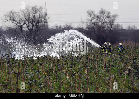 Oberhausen-Rheinhausen, Germania. 23 gen 2018. Sito incidente in cui un velivolo di piccole dimensioni e un elicottero schiantato a metà in aria in Oberhausen-Rheinhausen, Germania, 23 Gennaio 2018Credito: dpa picture alliance/Alamy Live News Foto Stock