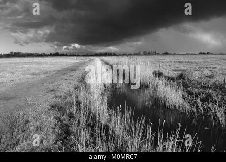 Paesaggi invernali intorno Stodmarsh, Kent, Inghilterra, Gran Bretagna Foto Stock