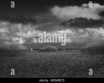 Paesaggi invernali intorno Stodmarsh, Kent, Inghilterra, Gran Bretagna Foto Stock