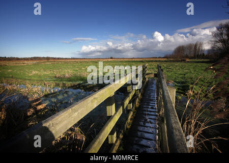 Paesaggi invernali intorno Stodmarsh, Kent, Inghilterra, Gran Bretagna Foto Stock