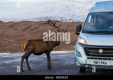 Feste di addio al celibato che posano per una foto scattata da un uomo in un camper a Loch Tulla Viewpoint Foto Stock