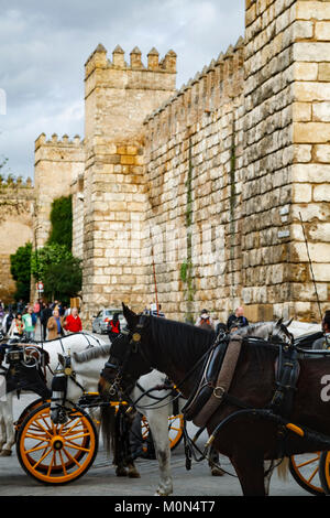 Carrozze trainate da cavalli e mura difensive, Reales Alcazares, Siviglia, Spagna Foto Stock