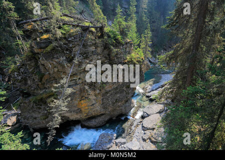 Johnston creek, Canyon Johnston, Montagne Rocciose, il Parco Nazionale di Banff, Alberta, Canada. Foto Stock