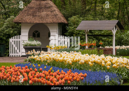 Tulpenbeete im Niederlande Keukenhof Keukenhof - Paesi Bassi Foto Stock