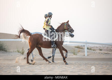 Due piloti in lizza in una endurance corsa di cavalli. Dubai, EAU. Foto Stock