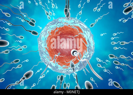 Inseminazione, rendering 3D Foto Stock