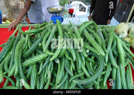 Cetriolo armeno, Cucumis melo, un membro della famiglia muskmelon, in vendita presso il mercato degli agricoltori, Budaiya, Regno del Bahrein Foto Stock