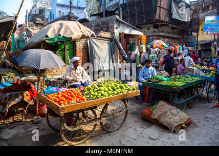 Varanasi, Utttar Pradesh, India, 22th gennaio 2017, senior man locale che vende tomatoe frutta in un mercato Foto Stock