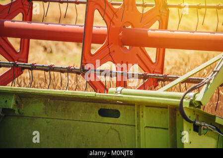 Mietitrebbia semovente di raccolta della macchina di grano maturo colture coltivate in campo agricolo, il fuoco selettivo Foto Stock