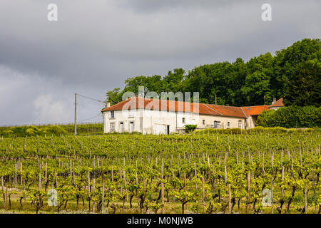 Tipica casa colonica toscana e vigna vigneto vicino Touzac nel Grande Champagne colline regione, un attraente cognac area di produzione Foto Stock