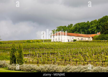 Tipica casa colonica toscana e vigna vigneto vicino Touzac nel Grande Champagne colline regione, un attraente cognac area di produzione Foto Stock