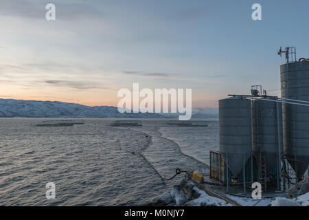 Allevamento ittico di salmone, Kviby, Leirbotn, Finnmark, Norvegia, allevamento ittico, Foto Stock