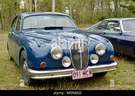 Vintage Car Show con giaguari, Herveys patrimonio di gamma camere di tè, Thornton Gap Road, Hervey gamma, Queensland, Australia Foto Stock