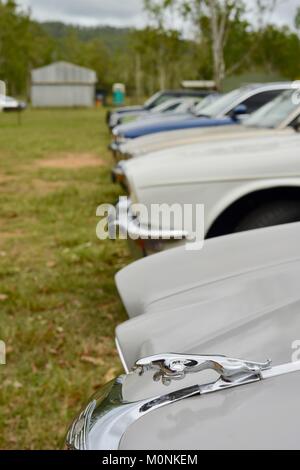 Vintage Car Show con giaguari, Herveys patrimonio di gamma camere di tè, Thornton Gap Road, Hervey gamma, Queensland, Australia Foto Stock