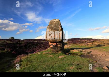 La pietra di sughero, Stanton Moor, Parco Nazionale di Peak District, Derbyshire, England, Regno Unito Foto Stock