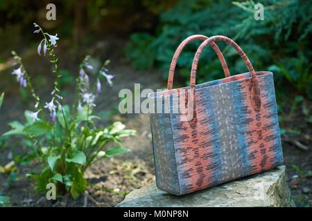 Moda Donna colorati s borsa con imitazione di snake s pelle Foto Stock