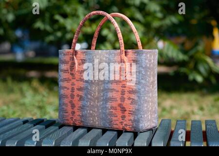 Moda Donna s borsa con pelle di serpente imitazione Foto Stock