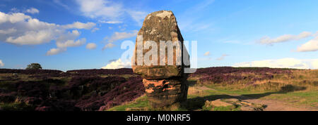 La pietra di sughero, Stanton Moor, Parco Nazionale di Peak District, Derbyshire, England, Regno Unito Foto Stock