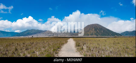 Modo per il cratere di Gnung Bromo nella Caldera,fumatori vulcano Gunung Bromo,Mt. Batok,Mt. Kursi,Mt. Gunung Semeru,Tengger Foto Stock