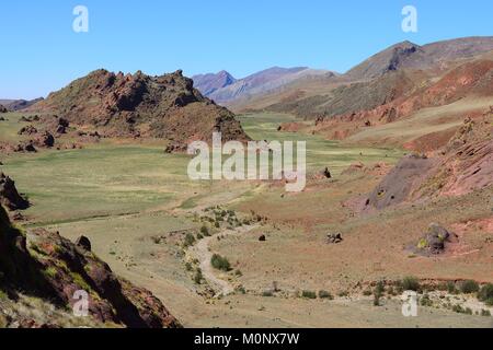 Cavalli al pascolo nella Valle Encantado Valley,Los Cardones Parco Nazionale,Ruta RP 33,Salta provincia,Argentina Foto Stock