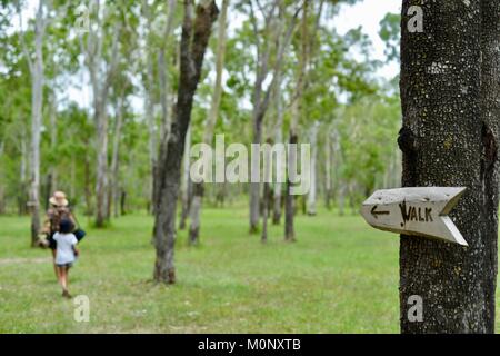 Madre e figlia a piedi attraverso un bosco, Herveys patrimonio di gamma camere di tè, Queensland, Australia Foto Stock