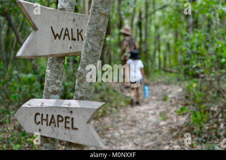 Madre e figlia camminando sulla figliata di foglia percorso con indicazioni a piedi e la cappella in primo piano, Herveys patrimonio di gamma camere di tè, Queensland, Australia Foto Stock