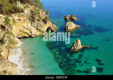 Francia,Finisterre,Iroise mare,Parc Naturel Regional d'Armorique Armorica (Parco Naturale Regionale),Presqu'ile de Crozon,Morgat,a piedi lungo il GR34 sulla penisola di Crozon,Cap de la Chèvre sentiero costiero Foto Stock