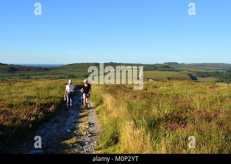 Francia,Finisterre,Parc Naturel Regional d'Armorique Armorica (Parco Naturale Regionale),Saint Rivoal,Monts d'Arree,escursionismo verso il Mont Saint Michel de Brasparts Foto Stock