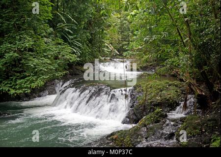 Costa Rica,osa peninsula,piccola cascata formata da un fiume nel parco nazionale di Corcovado Foto Stock