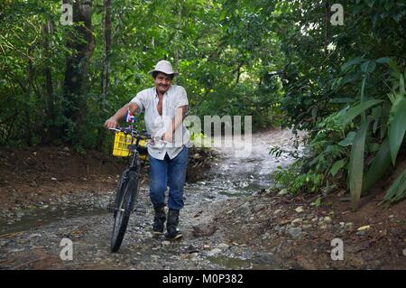 Costa Rica,osa peninsula,l'uomo con la sua bicicletta decorata con un po' di costa bandiera nella foresta primaria Foto Stock