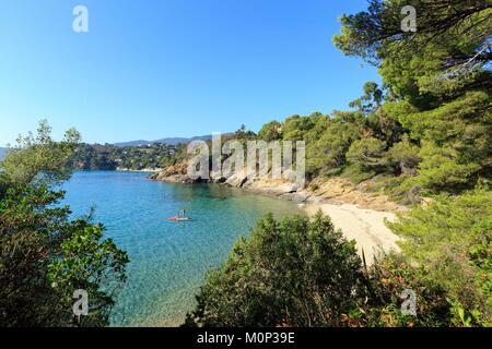 Francia,Var,Rayol : Canadel sur Mer,Domaine du Rayol :,giardino mediterraneo, proprietà del Conservatoire du Littoral Foto Stock