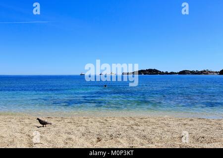 Francia,Alpes Maritimes,Beaulieu sur Mer Foto Stock