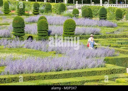 Francia,Indre et Loire,della Valle della Loira sono classificati come patrimonio mondiale dall UNESCO,Villandry,Chateau de giardini di Villandry,proprietà di Henri e Angelique Carvallo Foto Stock