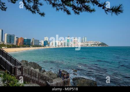 Corea del sud, sud Gyeongsang provincia,Busan,quartiere Haeundae,spiaggia Haeundae Foto Stock