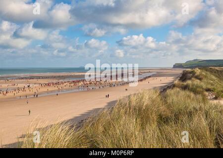 Francia,Pas de Calais,Wissant,sentiero della costa di Opal Foto Stock