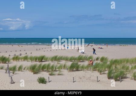 Francia,Nord,Dunkerque,Malo-les-Bains beach,a est del Molo del Porto di Dunkerque Foto Stock
