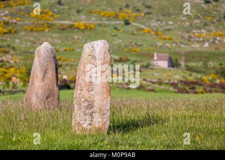 Francia,Lozere,Les Causses et les Cévennes,paesaggio culturale del Mediterraneo agro pastorizia,elencati come patrimonio mondiale dall UNESCO,Parco Nazionale delle Cévennes,elencati come Riserva della Biosfera dall'UNESCO,Mount Lozere,Cham de Bondons,vassoio calcareo a sud del monte Lozere era cosparsa con 154 menhir,il sito stabilisce la seconda concentrazione di monumenti megalitici in Europa,gruppo di detti menhir della Baraque de l'aria Foto Stock