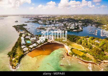 Francia,caraibi,Piccole Antille,Guadalupa,Grande-Terre,Le Gosier,vista aerea della marina di bas-du-Fort invasa dalle alghe brune chiamato Sargasses (Sargassum) (vista aerea) Foto Stock