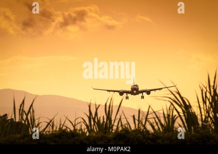 Francia,caraibi,Piccole Antille,Guadalupa,Grande-Terre,Le Raizet,discesa finale di long-haul piano sopra i campi di zucchero di canna prima di atterrare sulla pista di Pôle Caraïbes Aeroporto a tramonto Sun Foto Stock