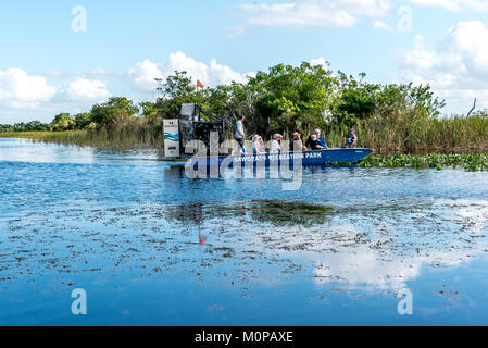 I turisti in Airboat in Everglades della Florida al Sawgrass Recreation Park, piccole airboat lentamente scivola accanto a isola erbosa con alberi in Everglades tour Foto Stock