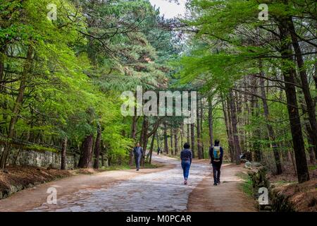 Corea del Sud,Nord Gyeongsang provincia,Gyeongju Parco Nazionale,Gyeongju,modo di Seokguram grotta stabiliti nel VIII secolo sulle pendici del monte Toham Foto Stock